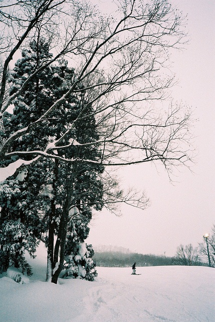 Winter in Japan 1