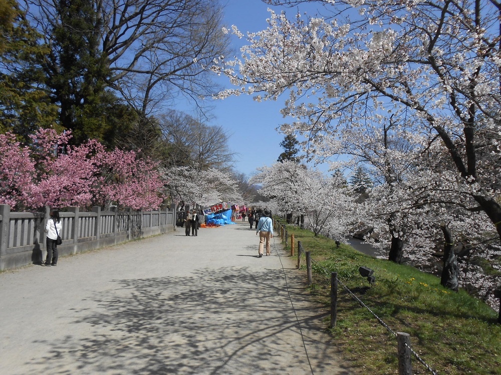 1,000 Cherry Blossoms Festival