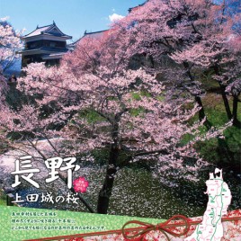 1,000 Cherry Blossoms Festival