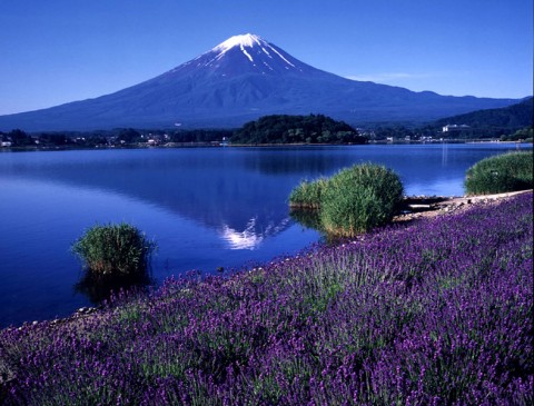 fuji1