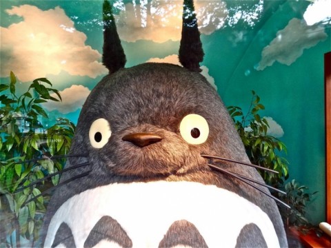 totoro