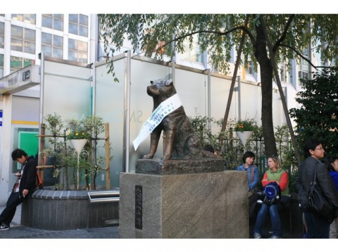 hachiko