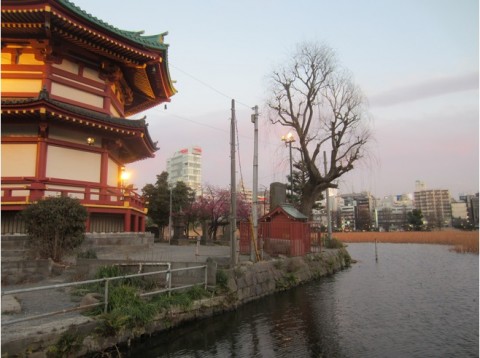 ueno park