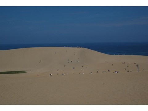 tottori