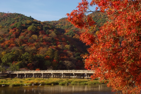 arashiyama