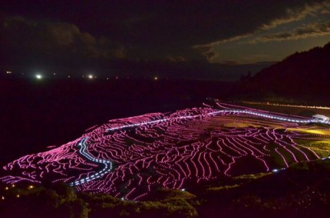 terraced-rice-fields2