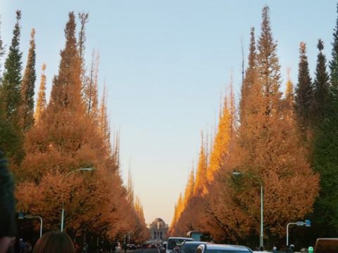 11234607735_5d18232493_z