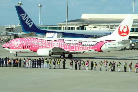 flj14010527