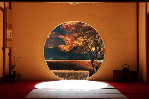 foliage_02