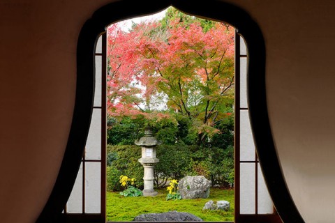 foliage_06