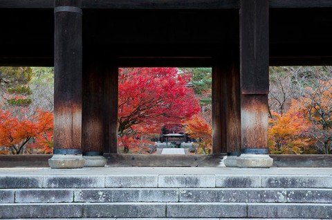foliage_07