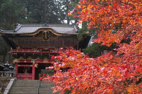 tochigi_07