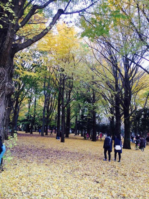 autumn