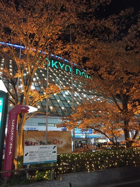 tokyo dome