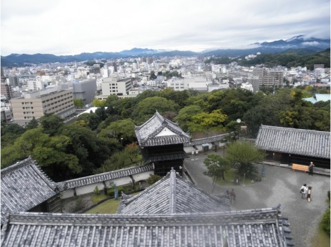 Castle-Kochi