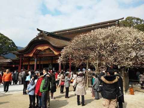 dazaifu tenmangu