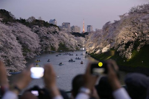 ueno1