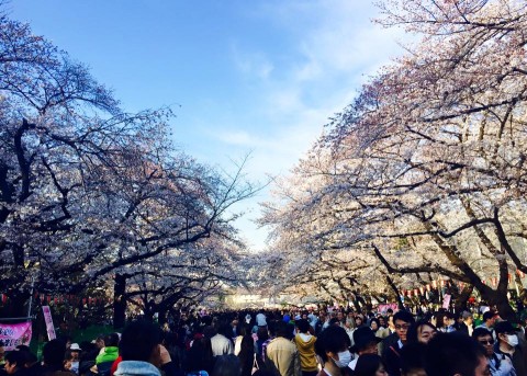 Ueno