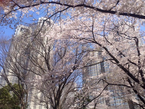 shinjuku central park