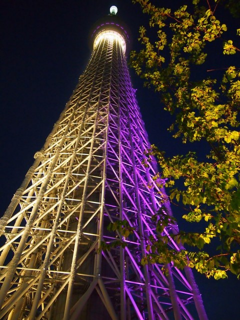 skytree night